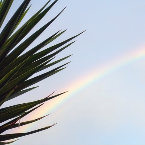 5 * Ateliers libres / Sky is the limit - 10e